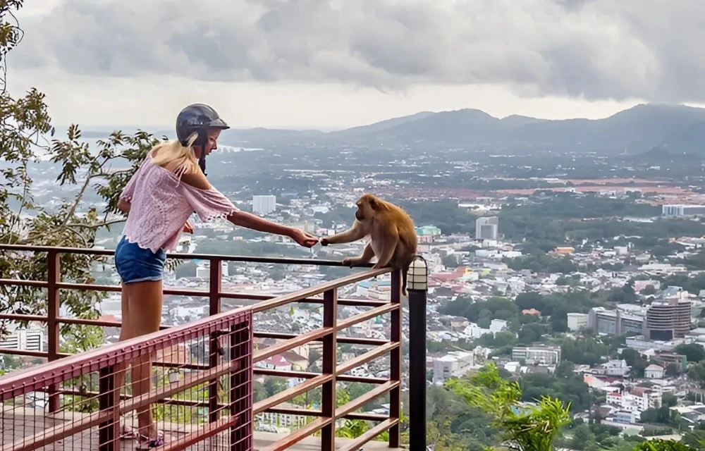 Monkey Hill Viewpoint